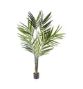 Kentia Palm Tree Accessories Regency Studio 