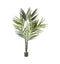 Kentia Palm Tree Accessories Regency Studio 
