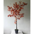Large Acer Tree Accessories Hill Interiors 