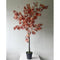Large Acer Tree Accessories Hill Interiors 