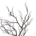 Large Branch Spray Accessories Hill Interiors 