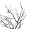 Large Branch Spray Accessories Hill Interiors 