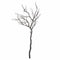Large Branch Spray Accessories Hill Interiors 