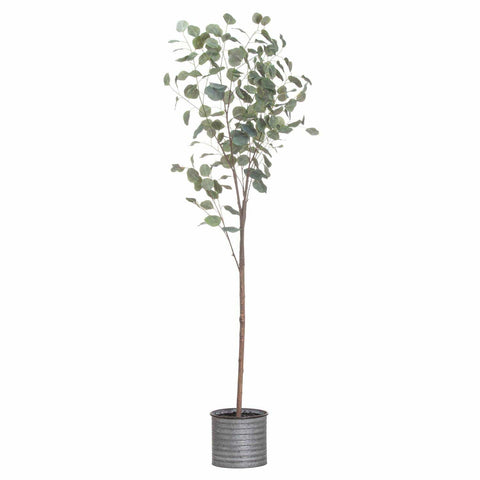 Large Eucalyptus Tree In Metalic Pot Accessories Hill Interiors 