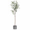 Large Eucalyptus Tree In Metalic Pot Accessories Hill Interiors 