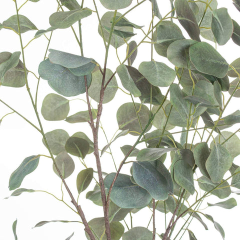 Large Eucalyptus Tree In Metalic Pot Accessories Hill Interiors 