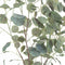 Large Eucalyptus Tree In Metalic Pot Accessories Hill Interiors 