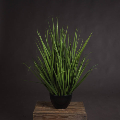 Large Field Grass pot Accessories Hill Interiors 