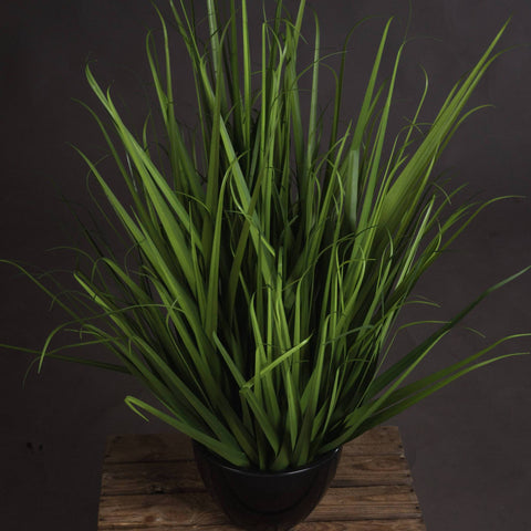 Large Field Grass pot Accessories Hill Interiors 