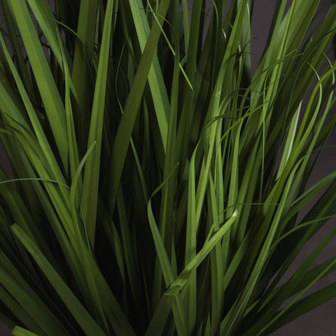 Large Field Grass pot Accessories Hill Interiors 
