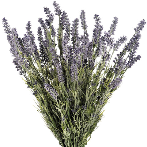 Large Lavender Bush Accessories Hill Interiors 