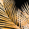 Large Metallic Palm Glass Image In Gold Frame Accessories Hill Interiors 