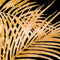 Large Metallic Palm Leaf Glass Image In Gold Frame Accessories Hill Interiors 