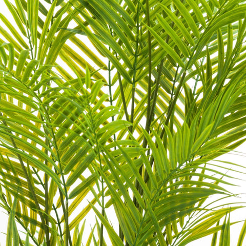 Large Paradise Potted Palm Accessories Hill Interiors 