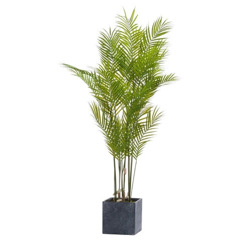 Large Paradise Potted Palm Accessories Hill Interiors 