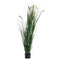 Large Potted Meadow Grass Accessories Hill Interiors 