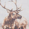 Large Stag On Cement Board With Frame Accessories Hill Interiors 