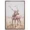 Large Stag On Cement Board With Frame Accessories Hill Interiors 