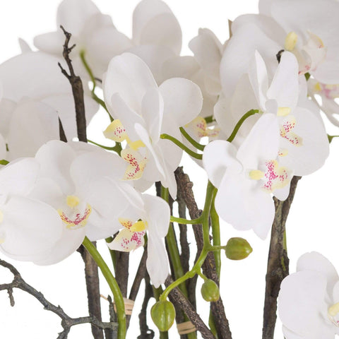 Large Stone Potted Orchid With Roots Accessories Hill Interiors 