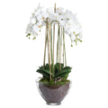 Large White Orchid In Glass Pot Accessories Hill Interiors 