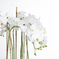 Large White Orchid In Glass Pot Accessories Hill Interiors 