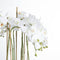 Large White Orchid In Glass Pot Accessories Hill Interiors 