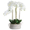 Large White Orchid In Stone Pot Accessories Hill Interiors 