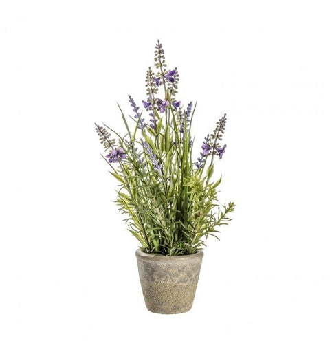 Lavender Classic with Cement Pot Large Accessories Regency Studio 