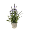 Lavender Classic with Cement Pot Small Accessories Regency Studio 