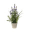 Lavender Classic with Cement Pot Small Accessories Regency Studio 