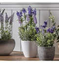 Lavender Heritage Large Accessories Regency Studio 