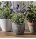 Lavender Heritage Small Accessories Regency Studio 