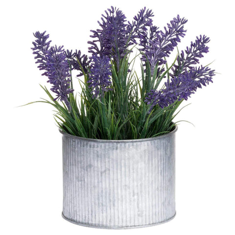 Lavender In Mini Dolly Tin Accessories Hill Interiors 