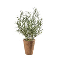 Lavender/Olive with Clay Pot Accessories Regency Studio 