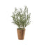 Lavender/Olive with Clay Pot Accessories Regency Studio 