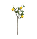 Lemon Stem with 3 Fruits Accessories Regency Studio 