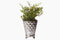 Lene Bjerre Precious Flower Pot Vase Lene Bjerre Small 