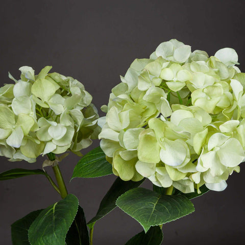 Light Green Oversized Hydrangea Spray Accessories Hill Interiors 
