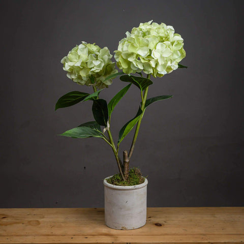 Light Green Oversized Hydrangea Spray Accessories Hill Interiors 