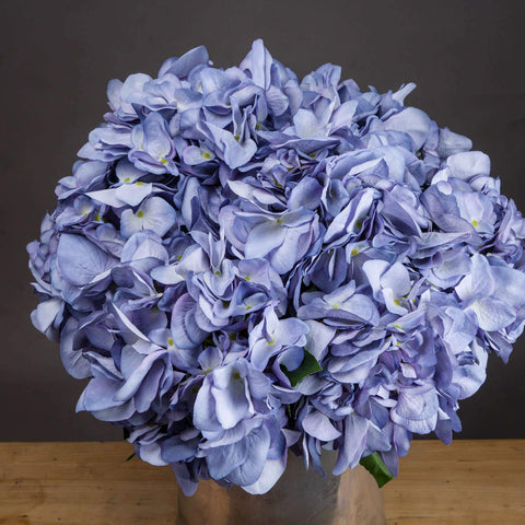 Lilac Hydrangea Accessories Hill Interiors 