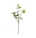 Lime Stem with 3 Fruits Accessories Regency Studio 