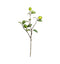 Lime Stem with 3 Fruits Accessories Regency Studio 
