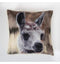 Llama Photographic Cushion Cream Accessories Regency Studio 