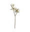 Magnolia Stem White Accessories Regency Studio 