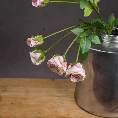 Medium Pale Pink Spray Rose Accessories Hill Interiors 