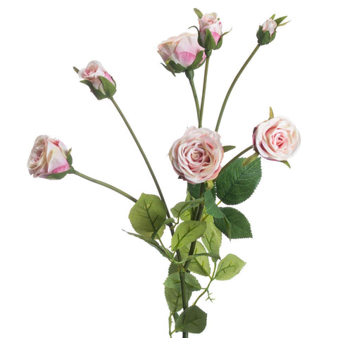 Medium Pale Pink Spray Rose Accessories Hill Interiors 