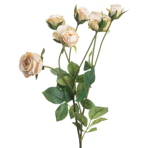 Medium Peach Spray Rose Accessories Hill Interiors 