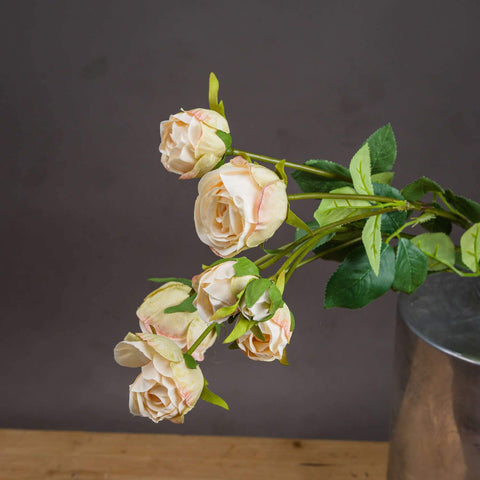 Medium Peach Spray Rose Accessories Hill Interiors 
