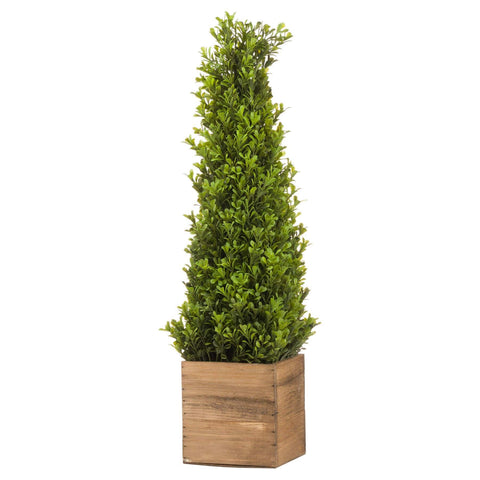 Medium Topiary Pyramid Accessories Hill Interiors 