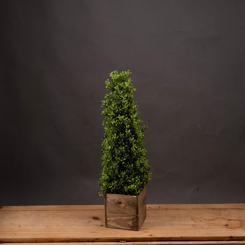 Medium Topiary Pyramid Accessories Hill Interiors 